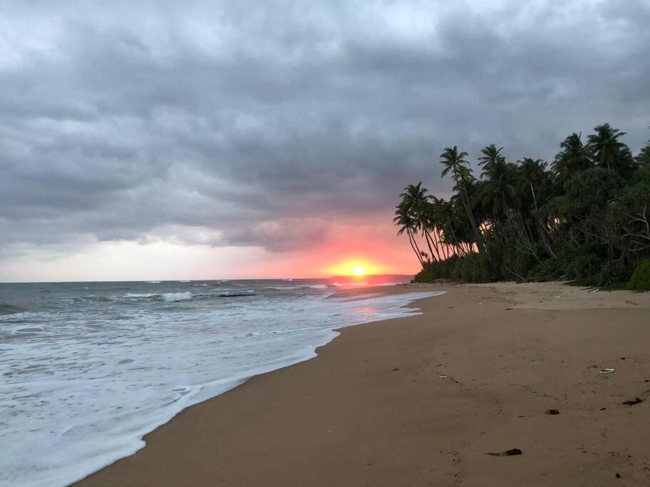 The Sanctuary- Тангалла Экстерьер фото